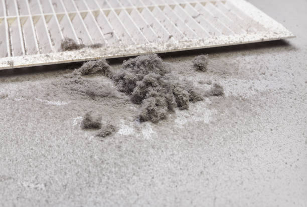 Best Professional Duct Cleaning Services  in Mineral Point, WI