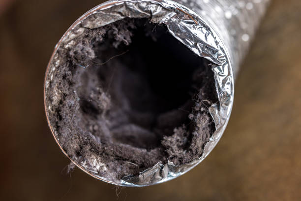Best Affordable HVAC Duct Cleaning  in Mineral Point, WI